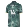 Maglia ufficiale Tottenham Hotspur Gray 14 Alternativa 2024-25 per Uomo